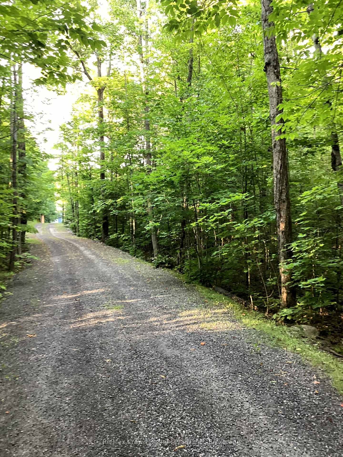 181 North Shore Drive • Parry Sound Remote Area, ON photo 39