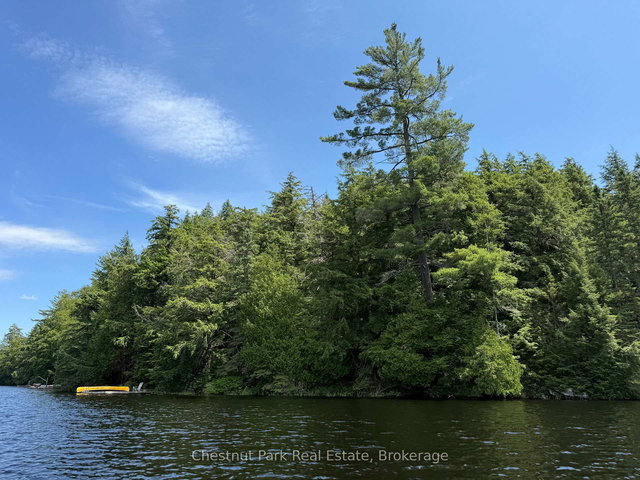 APL1136E - 19 Cache Lake