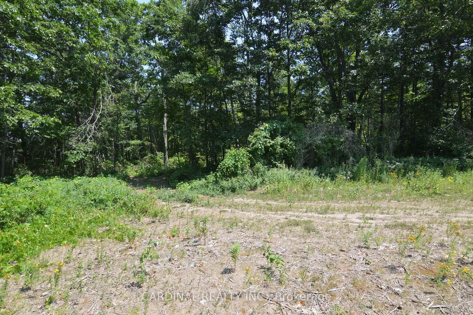 0 Browns/George - Vacant Lot Road • Alnwick/Haldimand, ON photo 5
