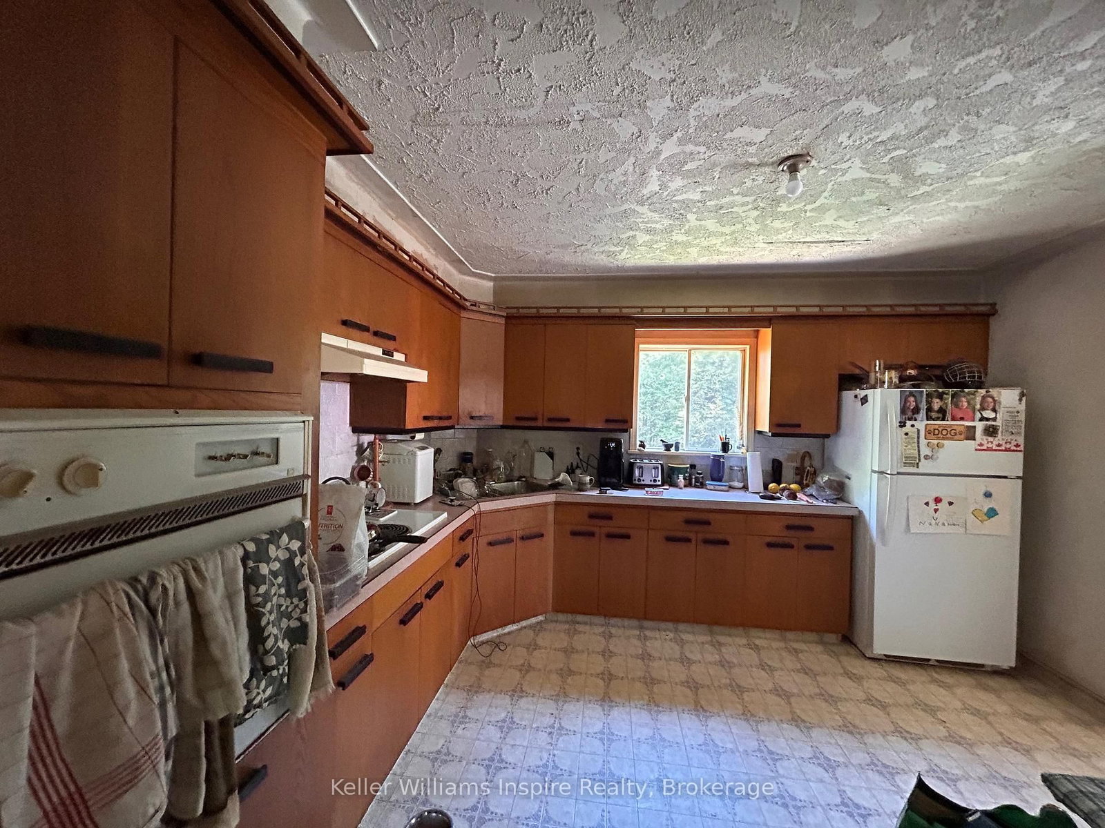 135431 9th Line • Grey Highlands, ON photo 5