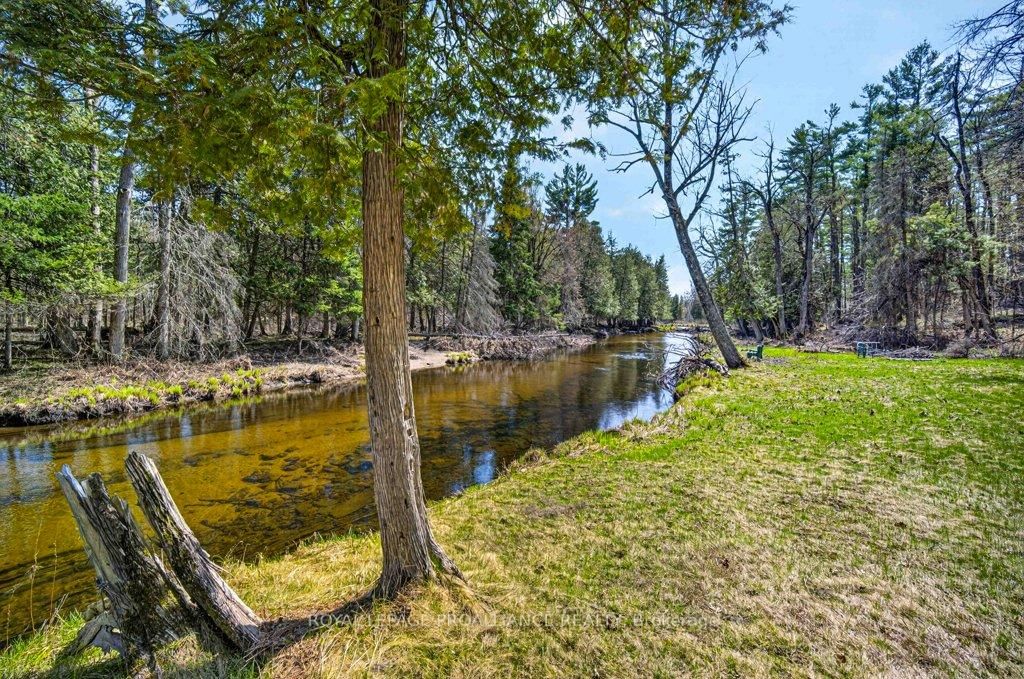 2406 Northeys Bay Road • North Kawartha, ON photo 40