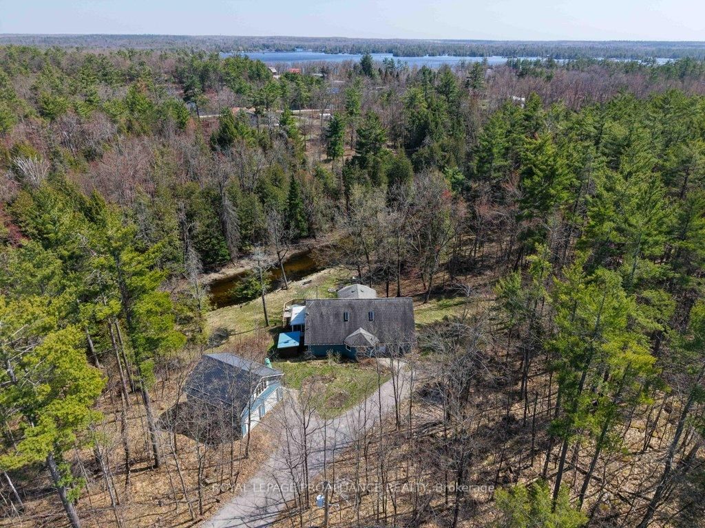 2406 Northeys Bay Road • North Kawartha, ON photo 44