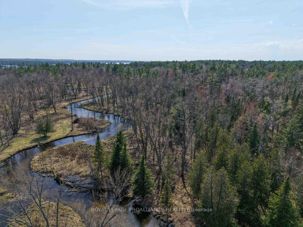 2406 Northeys Bay Road • North Kawartha, ON photo 47