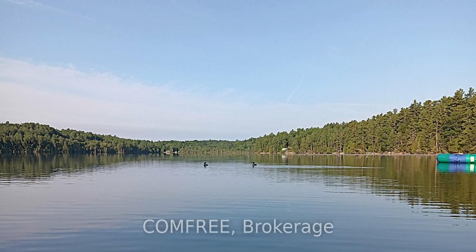 1005 Hoyle Lane W • Maberly, ON photo 38