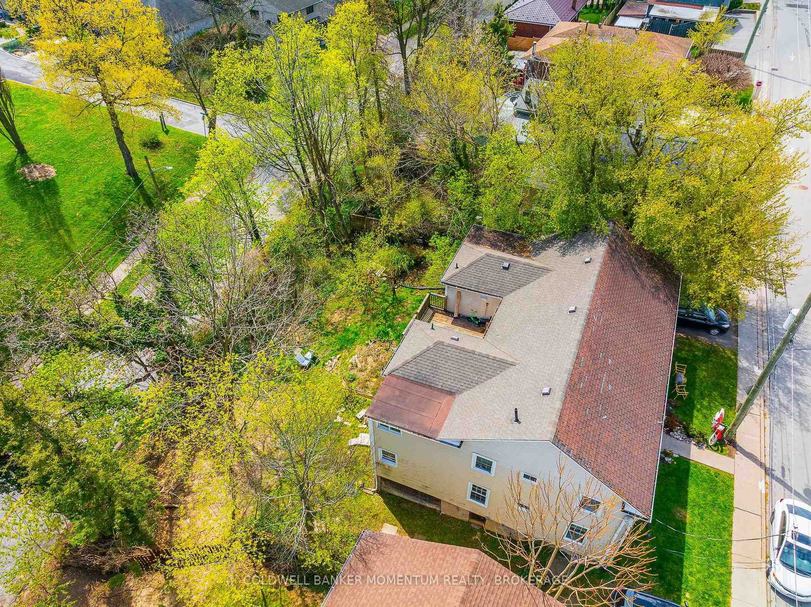 17 Hainer Street • St. Catharines, ON photo 3