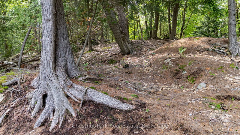0 Meda Island Lot 4