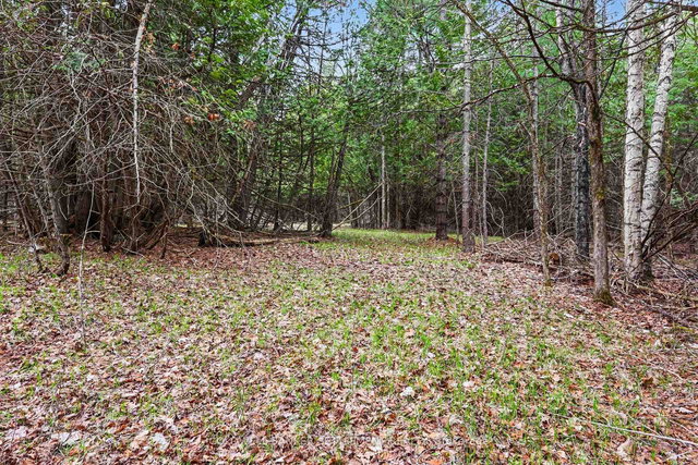 1008 Dalhousie 6A Concession
