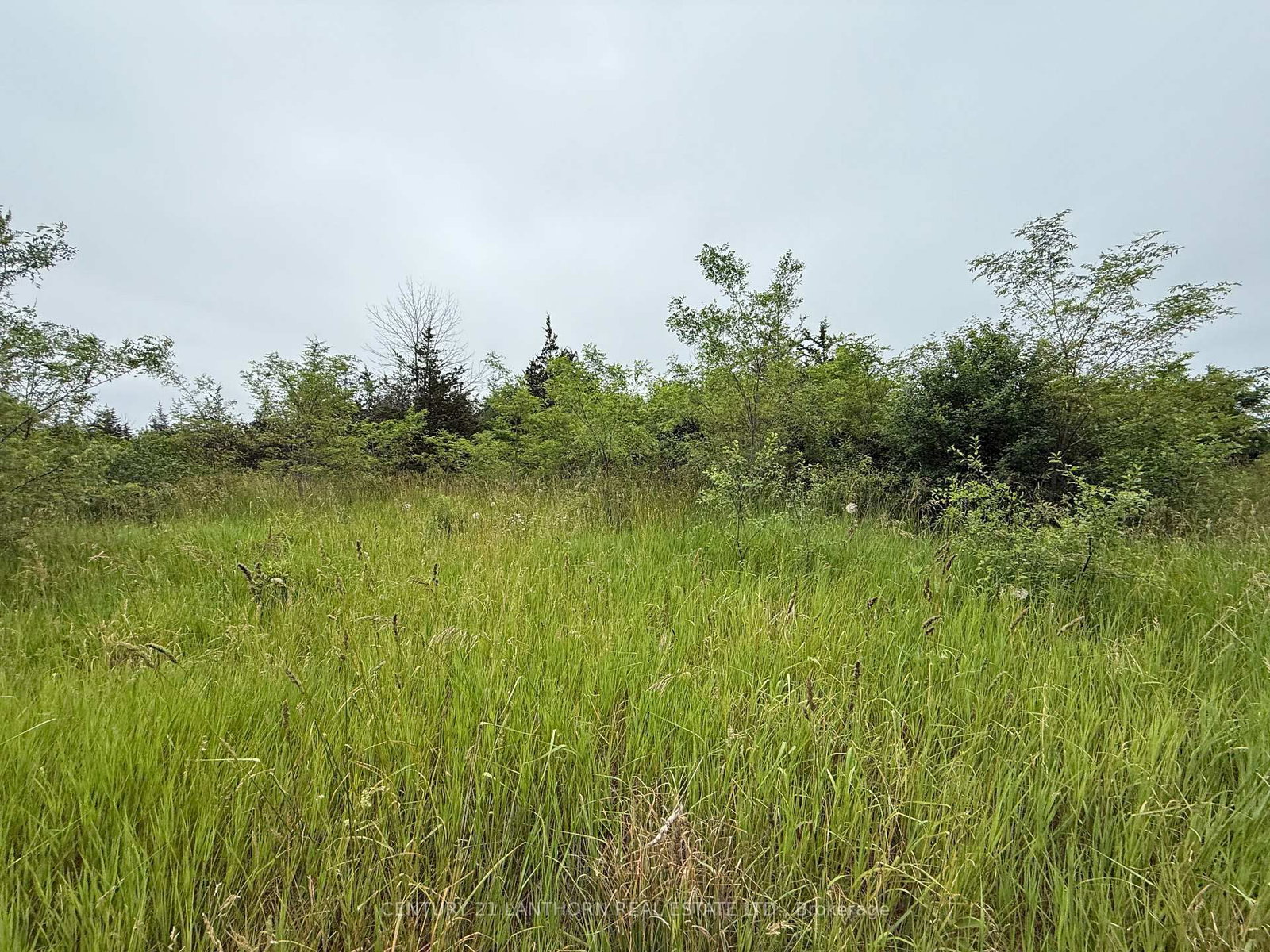 Between 72 & 33 County 24 Road - Photo 13