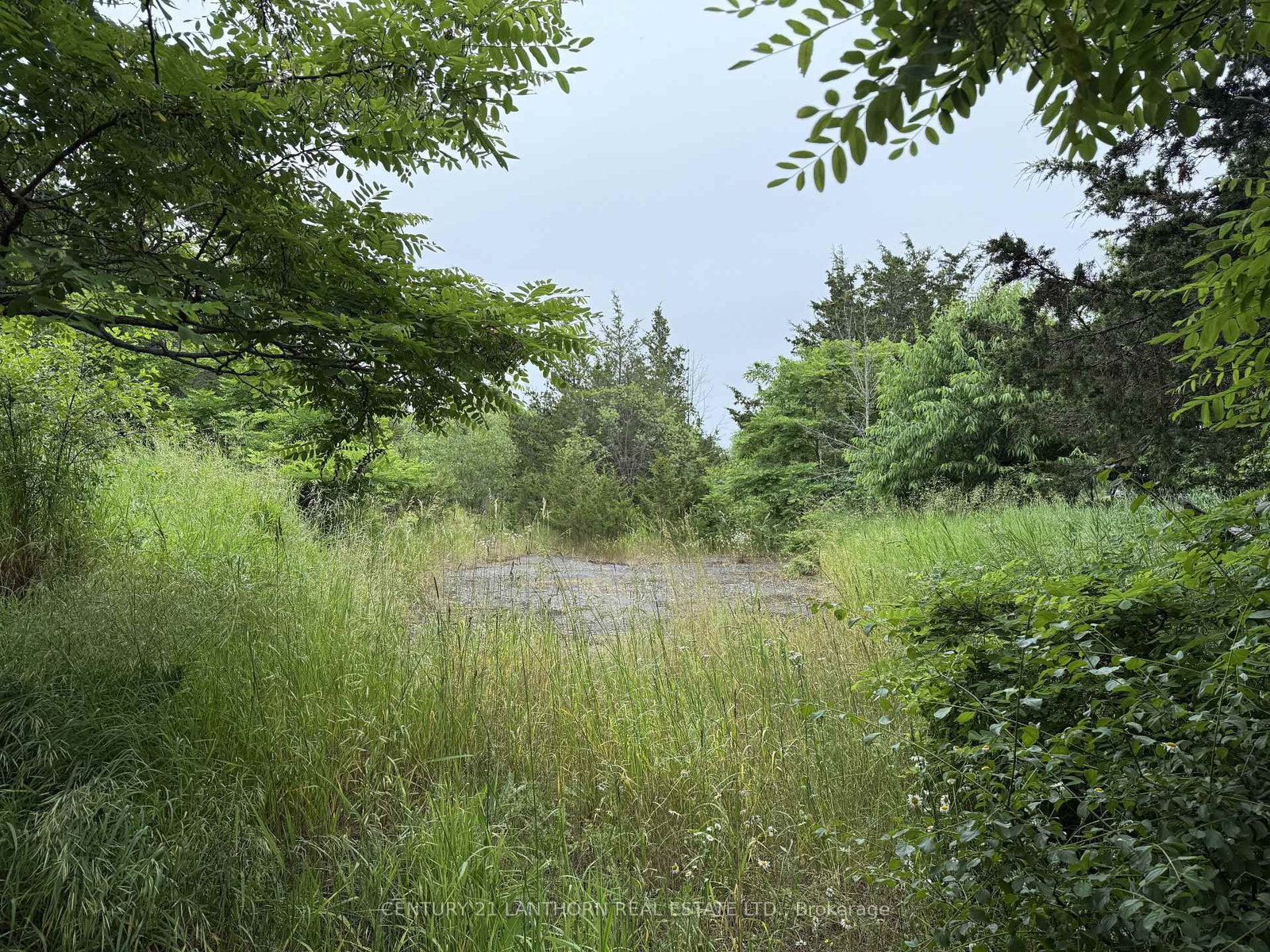Between 72 & 33 County 24 Road - Photo 14