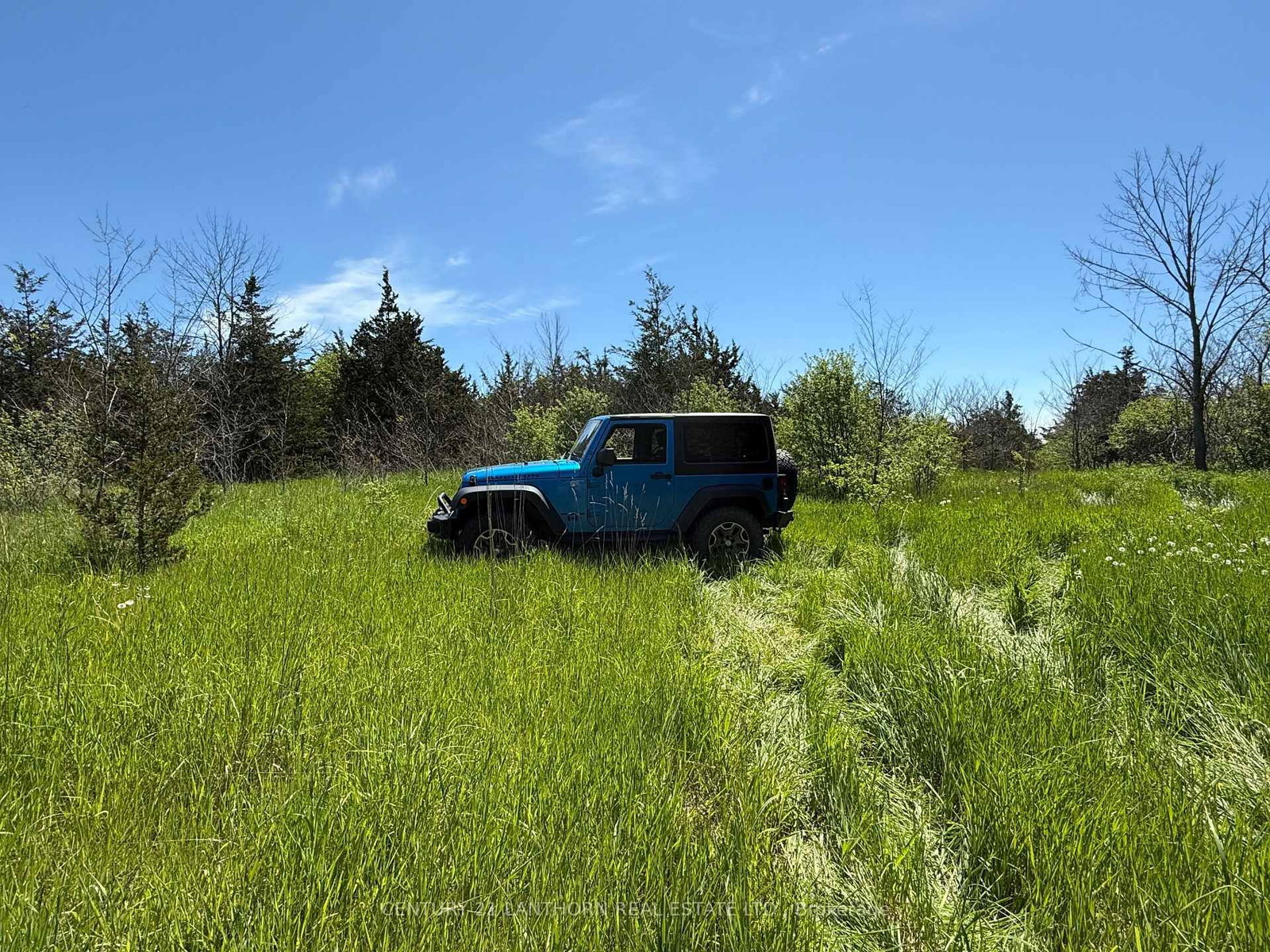 Between 72 & 33 County 24 Road • Prince Edward County, ON photo 14