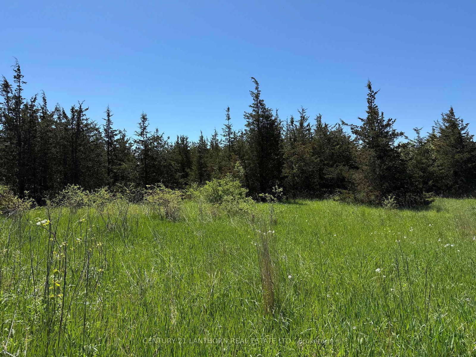 Between 72 & 33 County 24 Road • Prince Edward County, ON photo 15