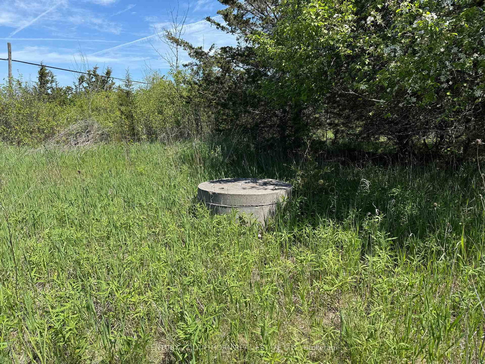 Between 72 & 33 County 24 Road • Prince Edward County, ON photo 16