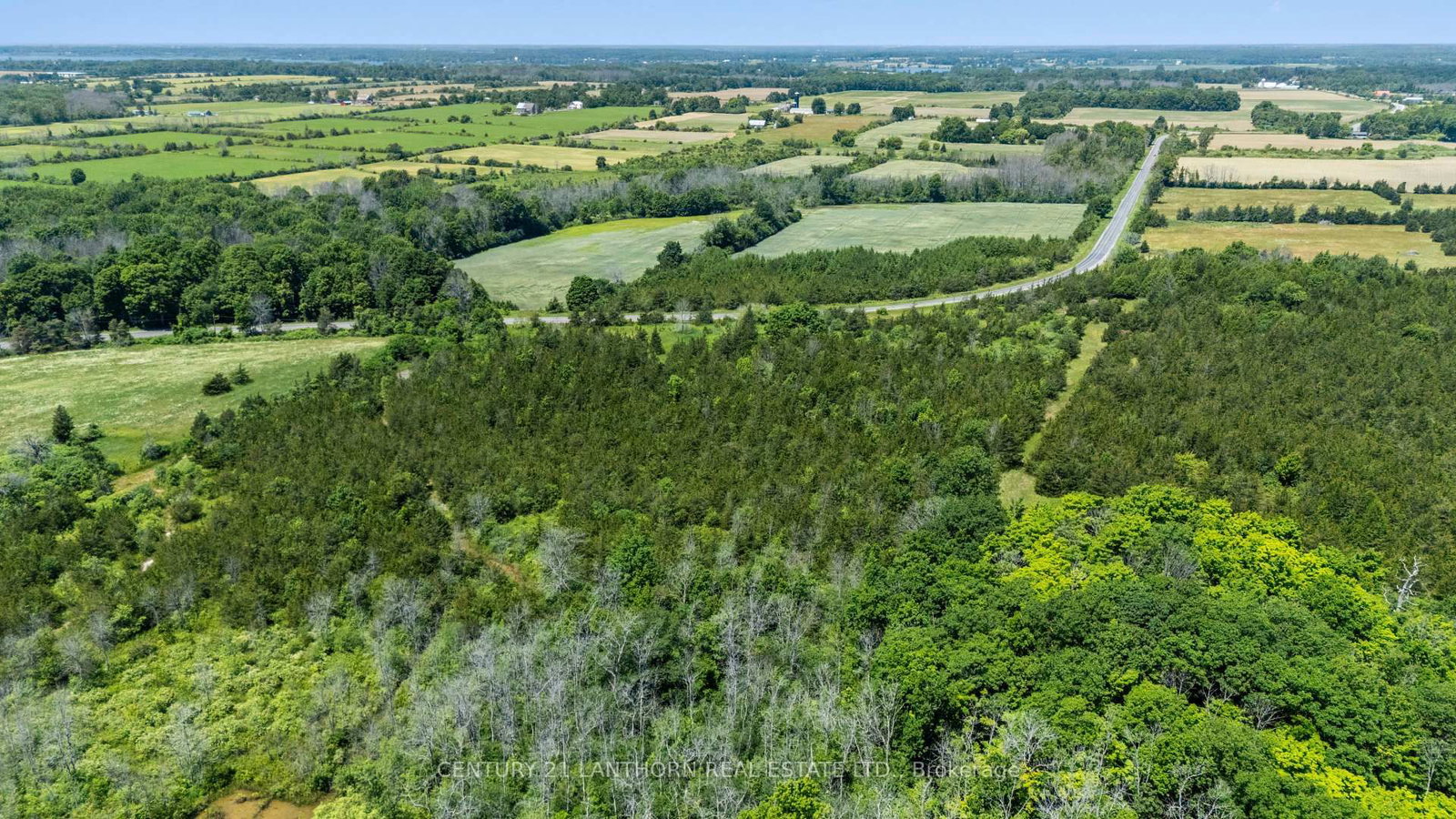 Between 72 & 33 County 24 Road • Prince Edward County, ON photo 7
