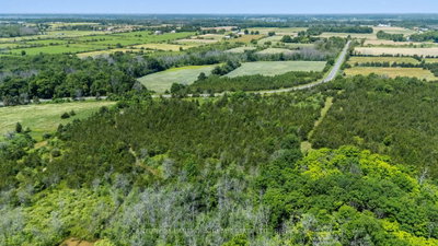 Between 72 & 33 County 24 Road • Prince Edward County, ON photo 7