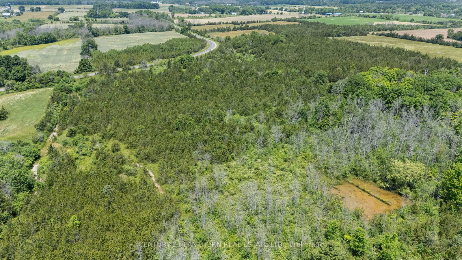 Between 72 & 33 County 24 Road • Prince Edward County, ON photo 8