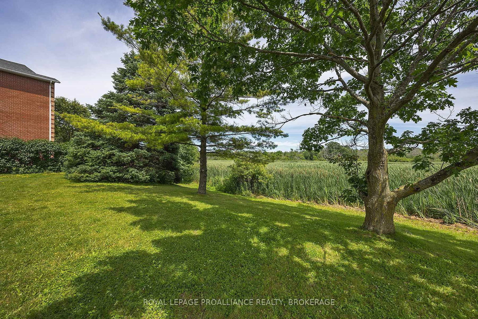 580 Armstrong Road, Unit 201 - Photo 6