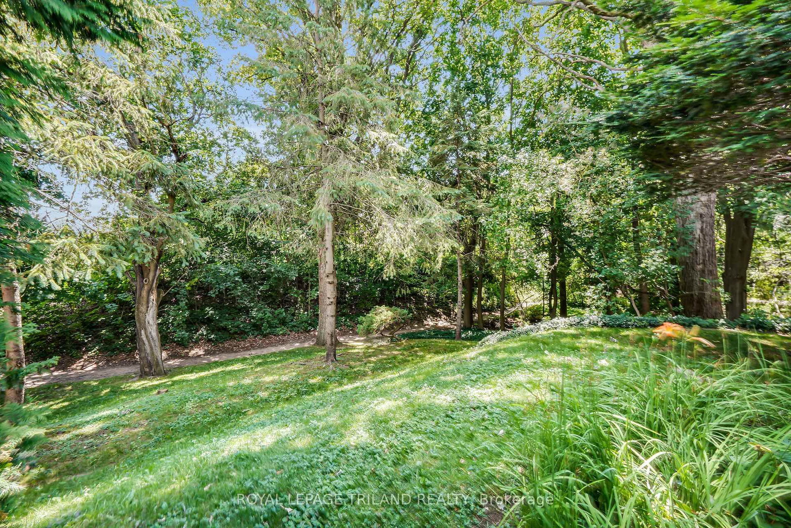249 Halls Mill Road • London South, ON photo 39