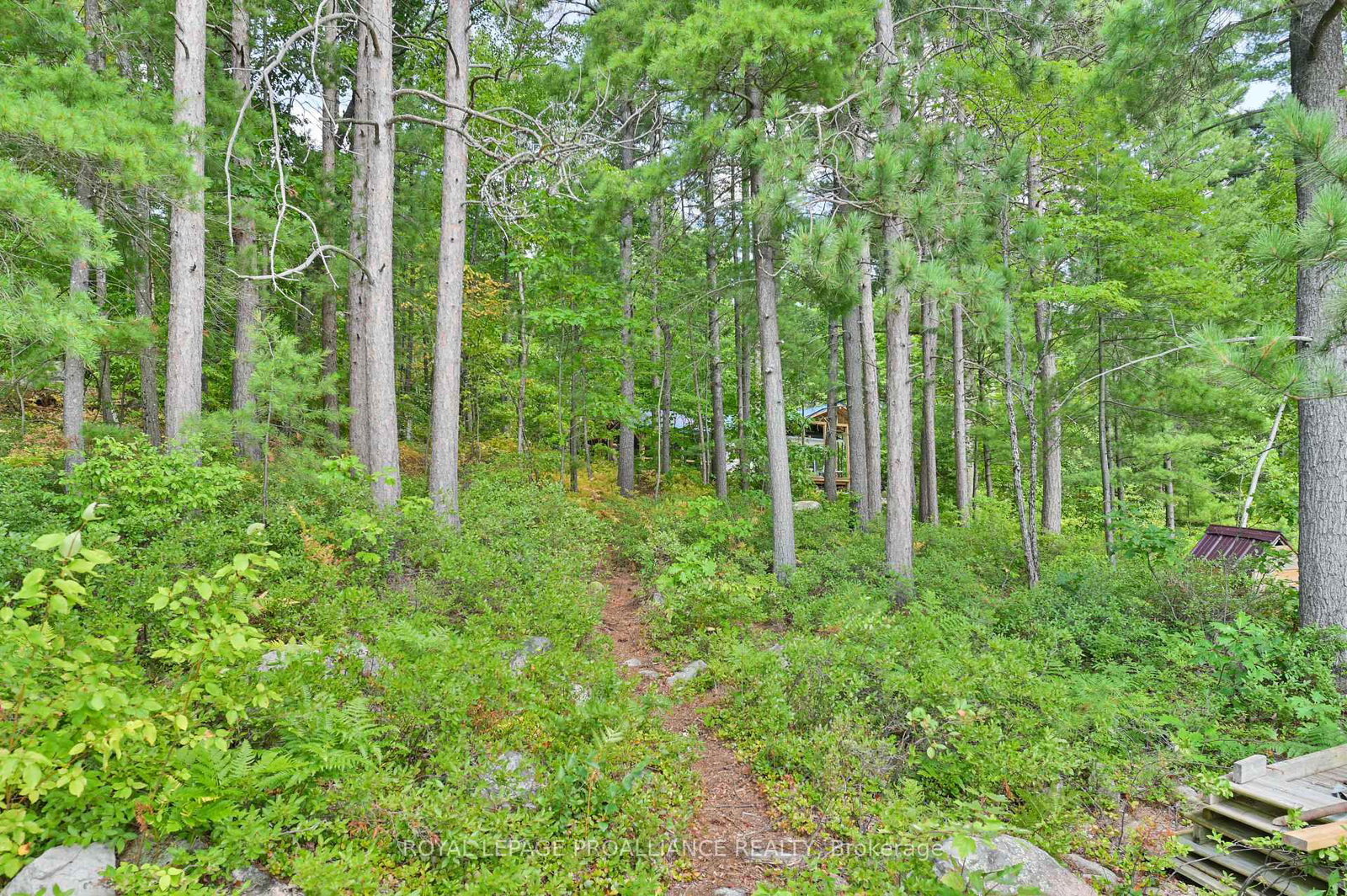 1780 Mazinaw Lake • Cloyne, ON photo 29