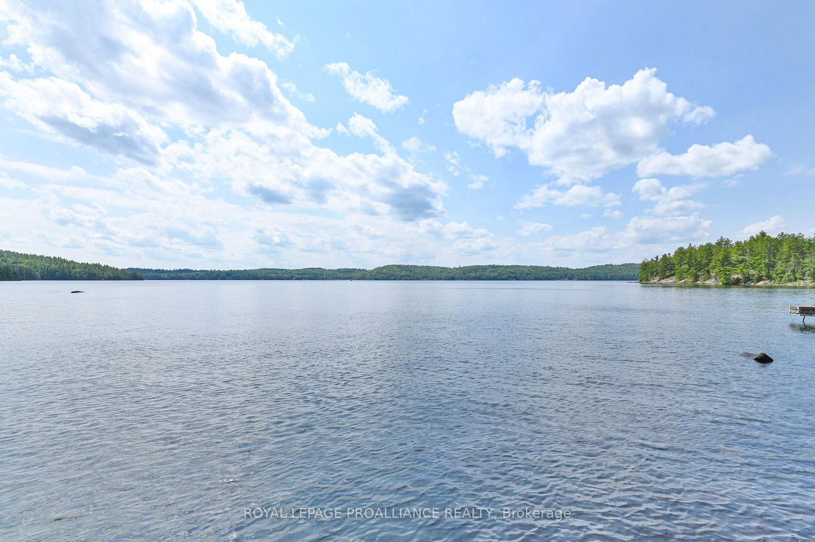 1780 Mazinaw Lake • Cloyne, ON photo 33