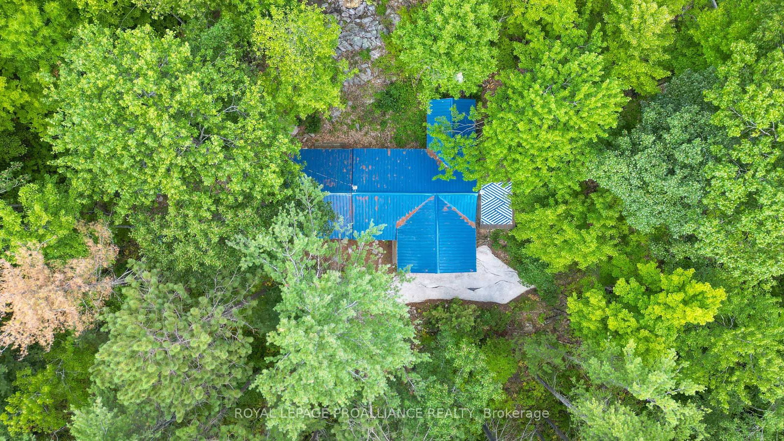 1780 Mazinaw Lake • Cloyne, ON photo 38