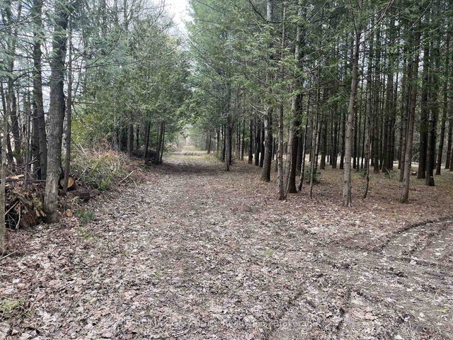 523782 Concession 12 Road