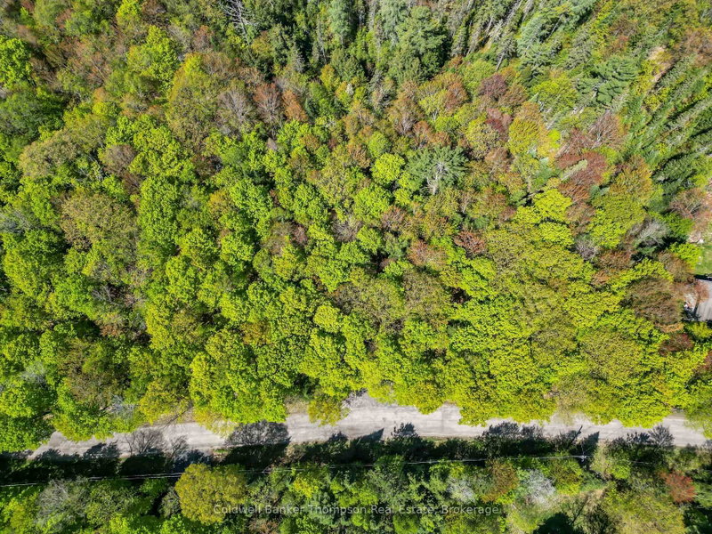 989 North Waseosa Lake Road