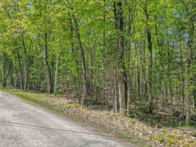 989 North Waseosa Lake Road • Huntsville, ON photo 5