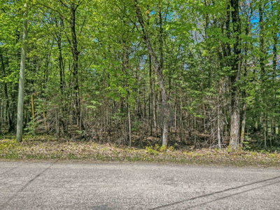 989 North Waseosa Lake Road • Huntsville, ON photo 6