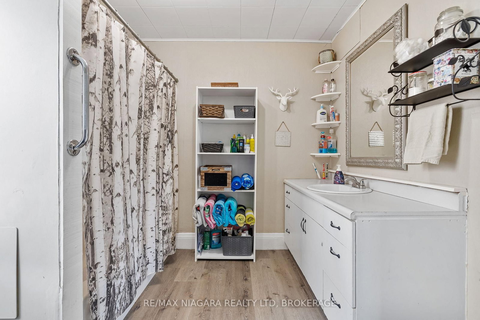 35 Deere Street • Welland, ON photo 9