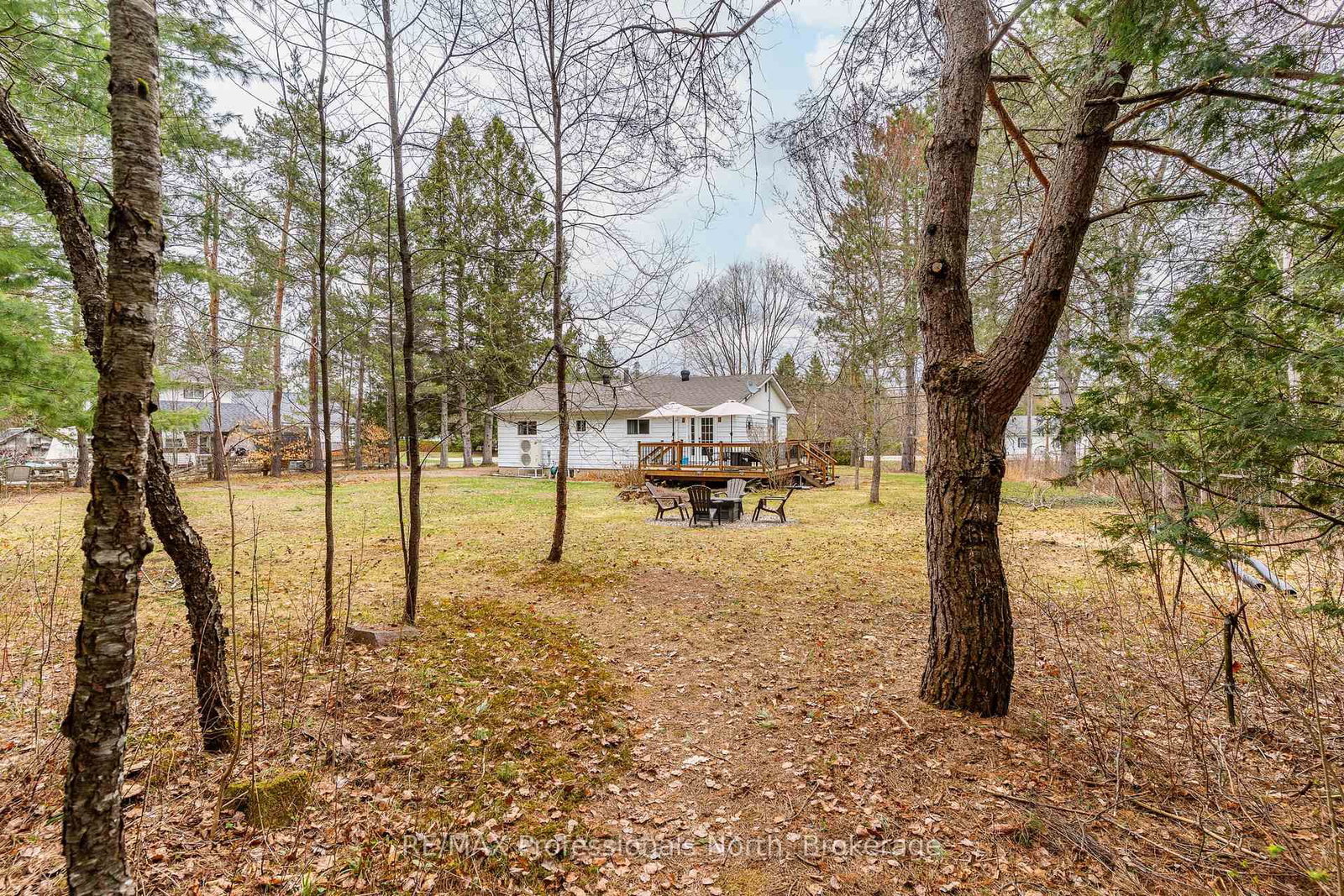 2195 Loop Road • Highlands East, ON photo 39