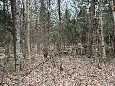Lot 1 Loch Erne Road