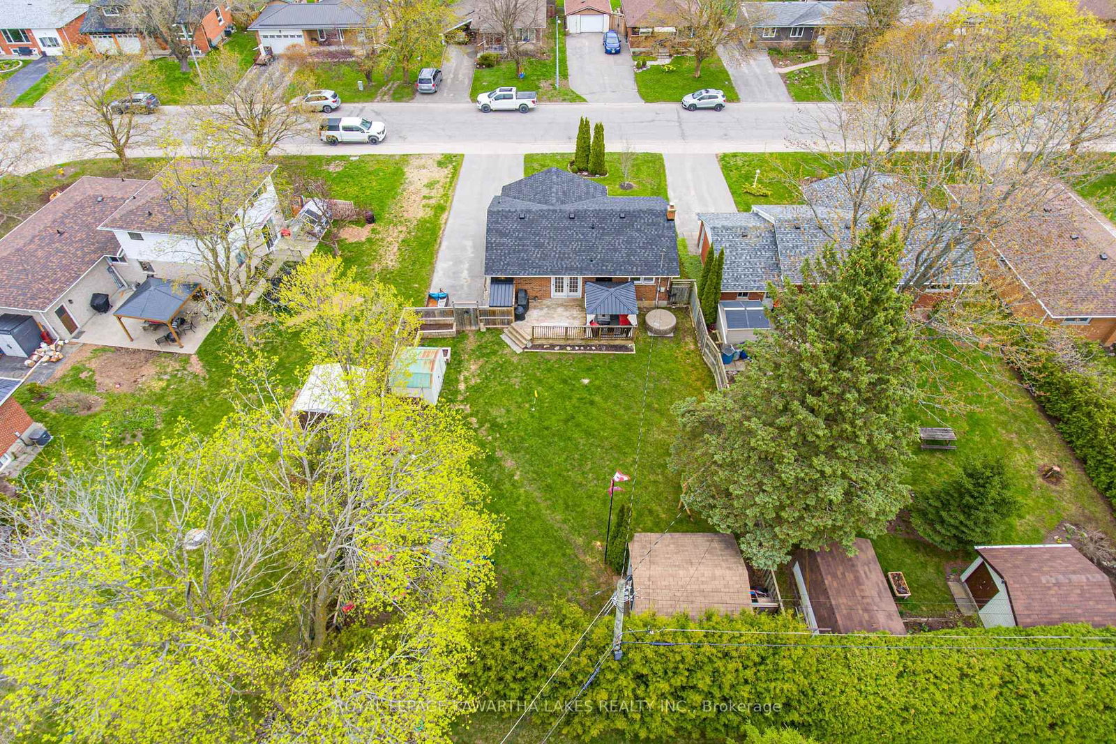 116 Sanderling Crescent • Kawartha Lakes, ON photo 6