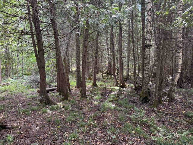 189 Schimmens Road