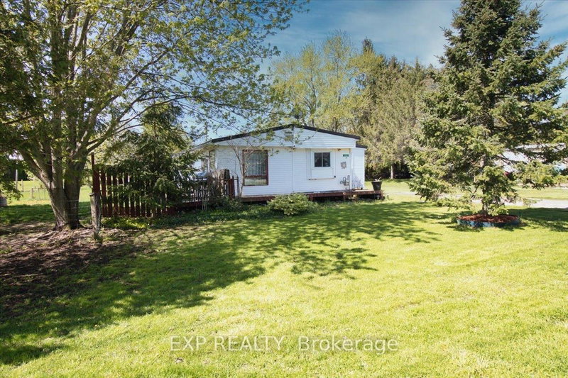 252 Queen St photo 4