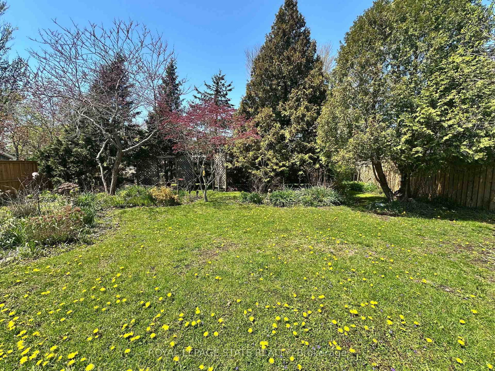 618 Pine Street • Haldimand, ON photo 34