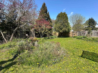 618 Pine Street • Haldimand, ON photo 4