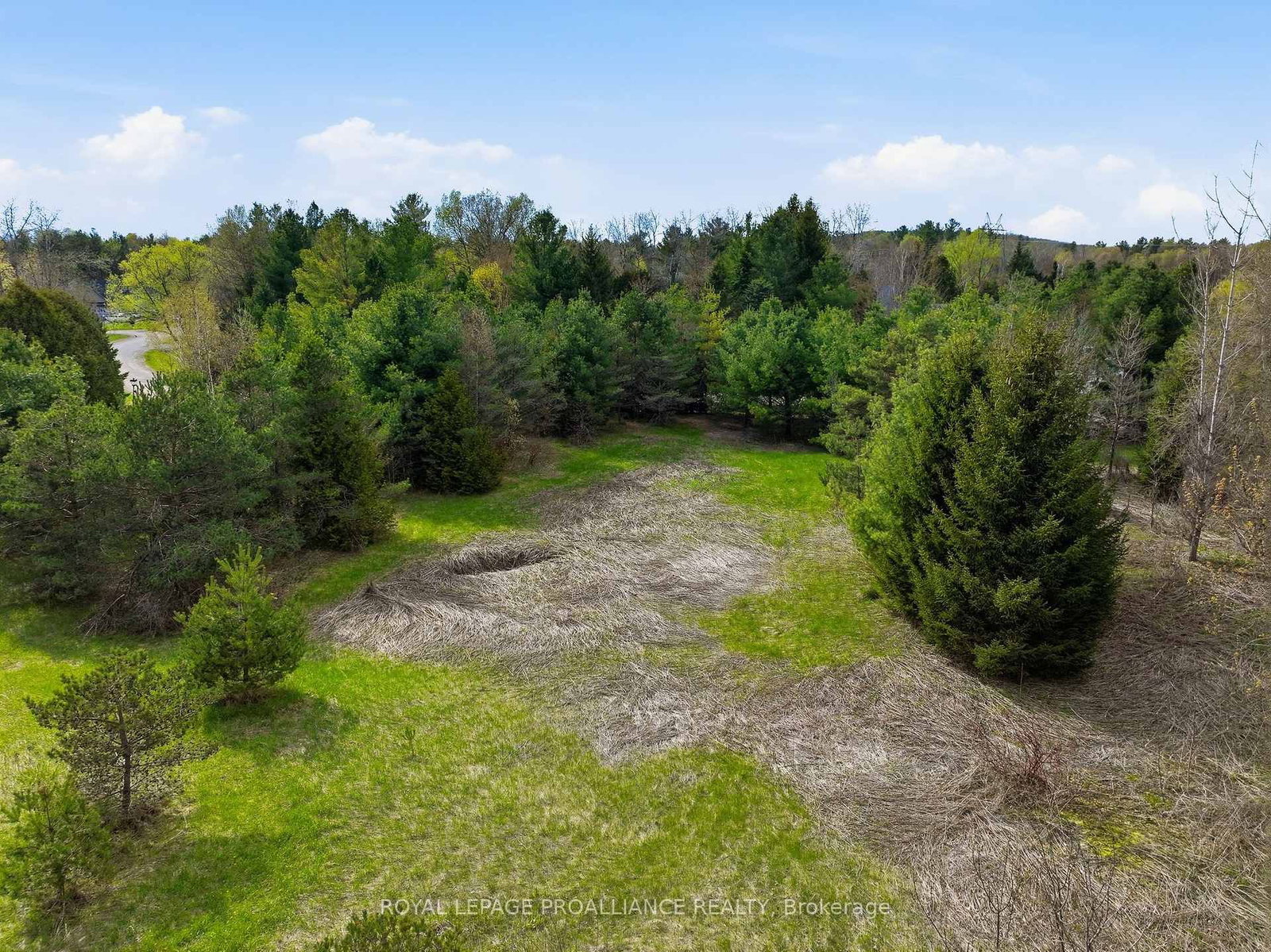 0 Woodland Avenue • Port Hope, ON photo 10