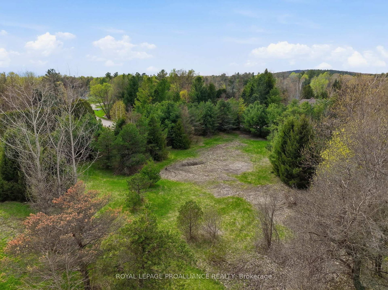 0 Woodland Avenue • Port Hope, ON photo 11