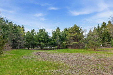 0 Woodland Avenue • Port Hope, ON photo 9