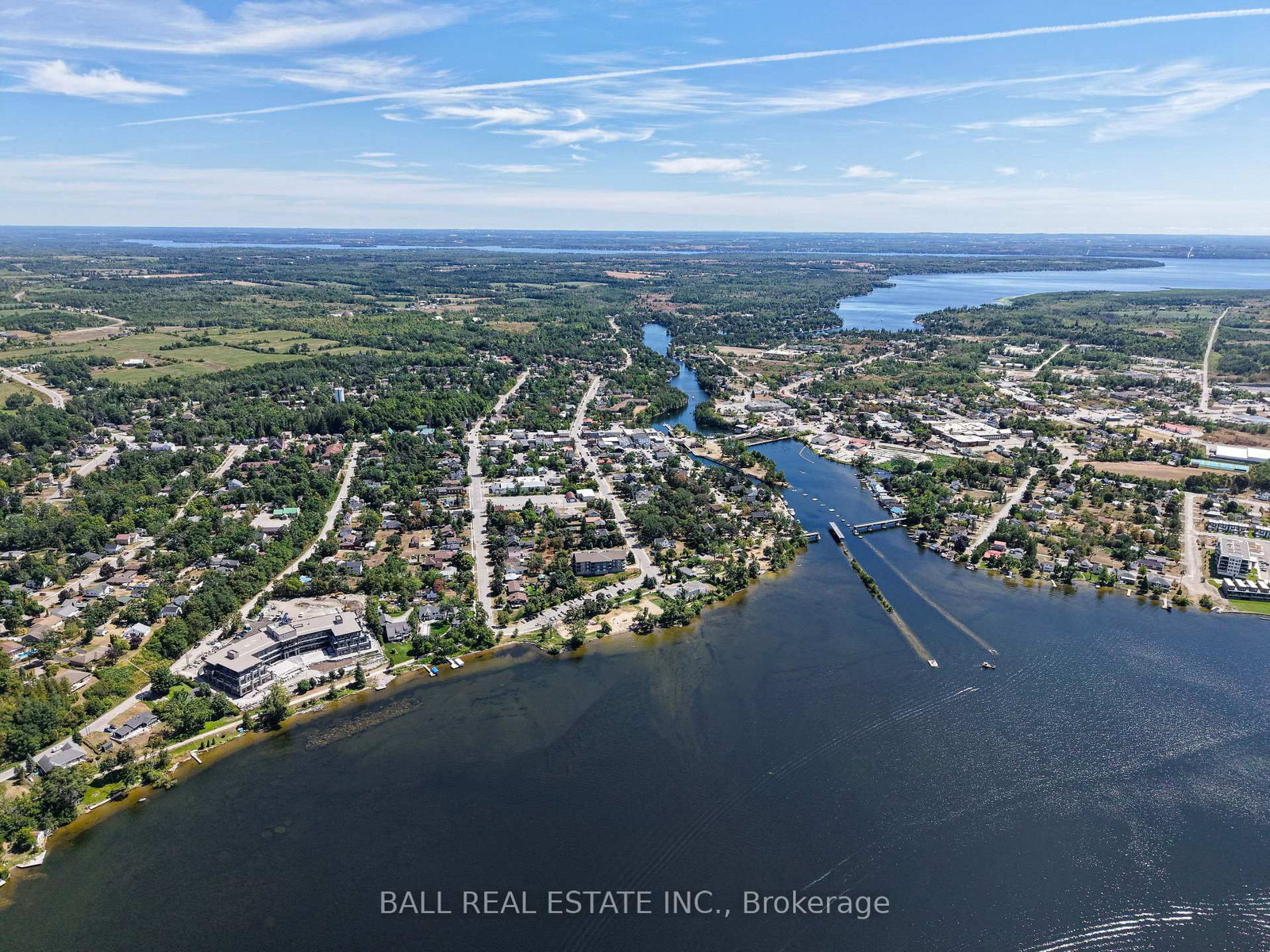 99 Louisa Street • #214 • Kawartha Lakes, ON photo 45
