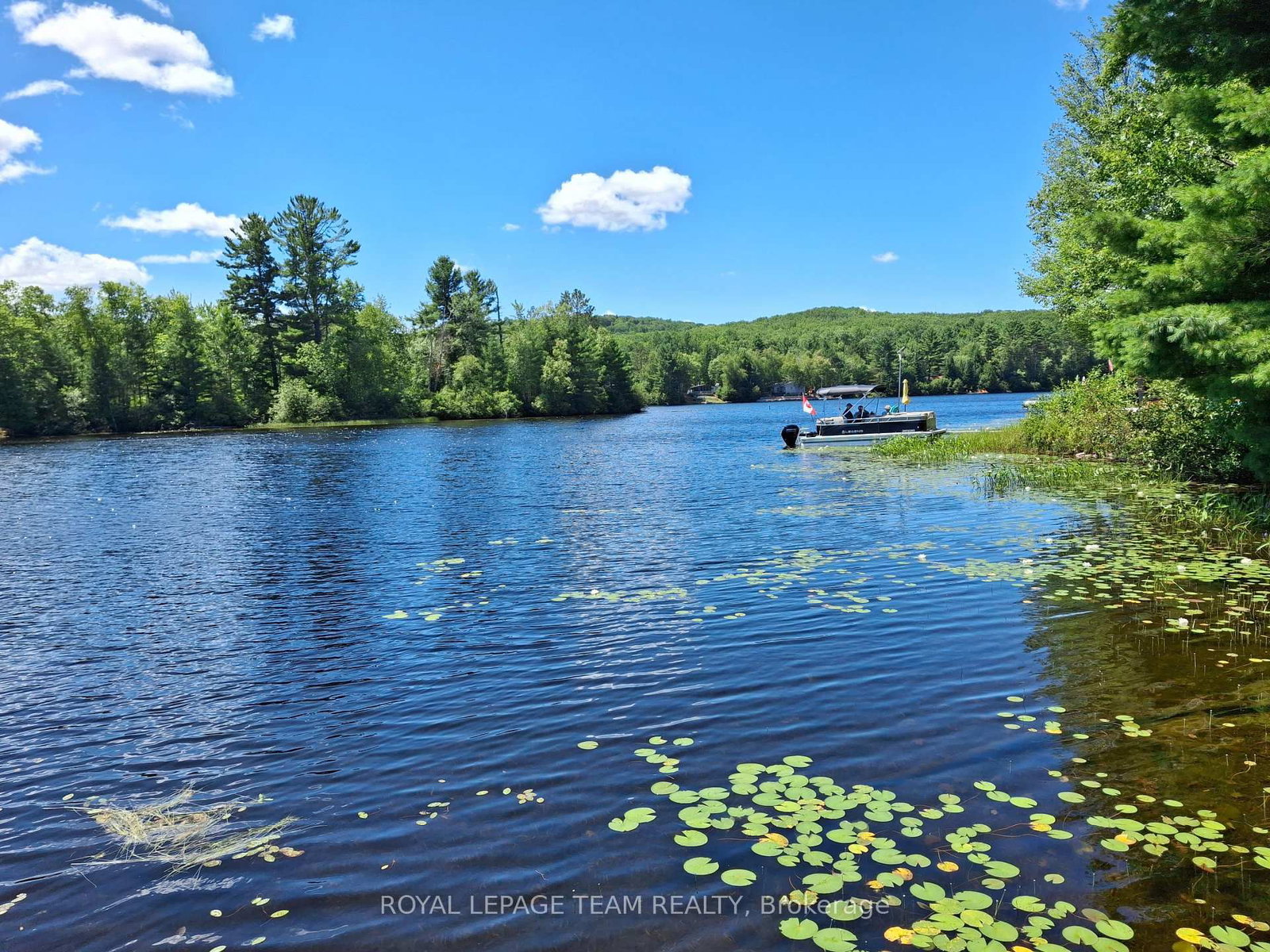 112 Golfers Lane • Combermere, ON photo 11