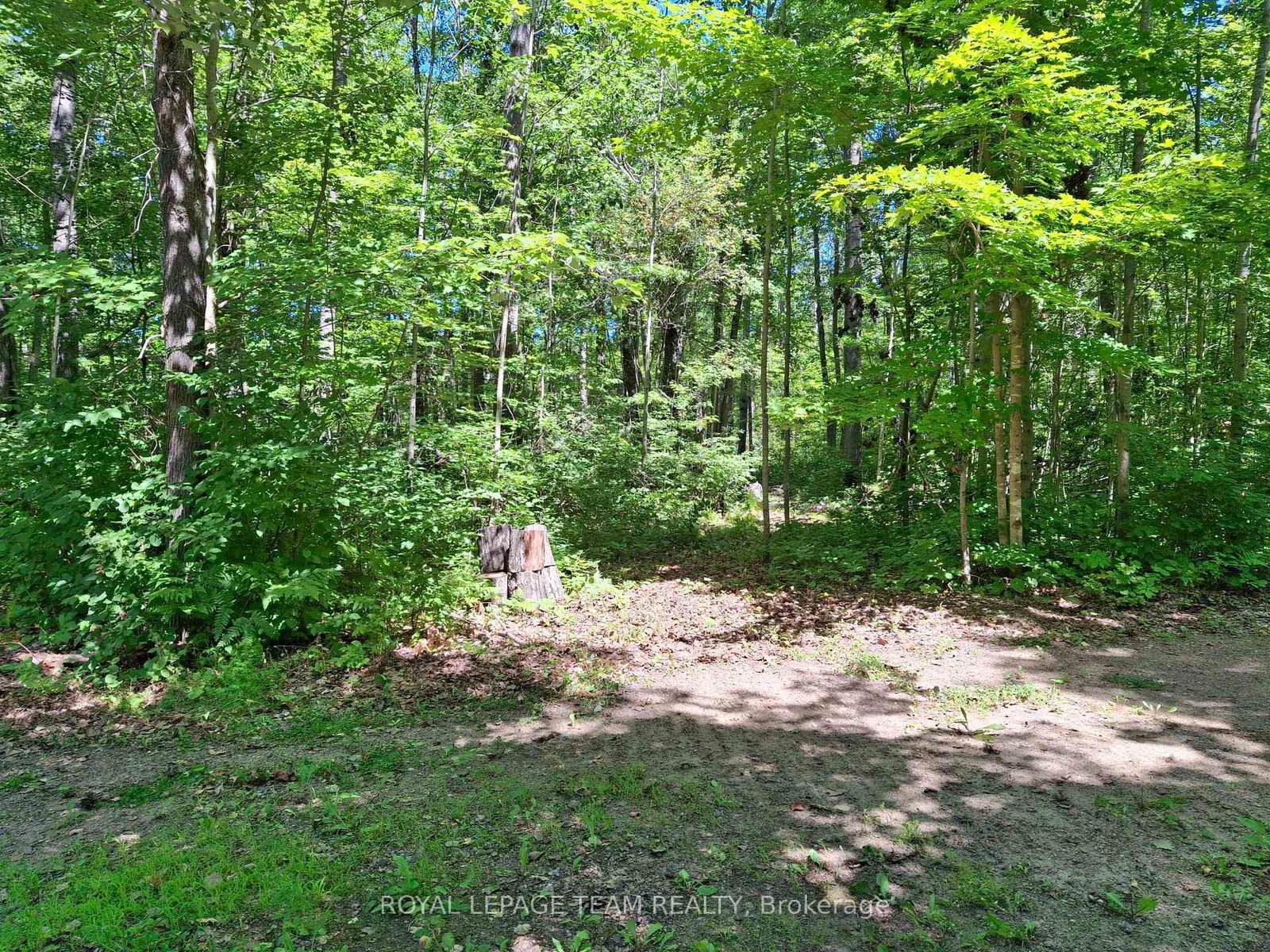 112 Golfers Lane • Combermere, ON photo 43