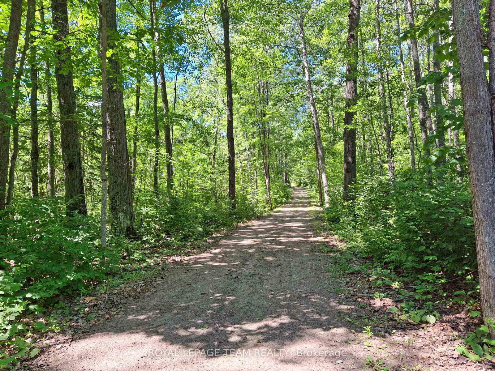 112 Golfers Lane • Combermere, ON photo 45