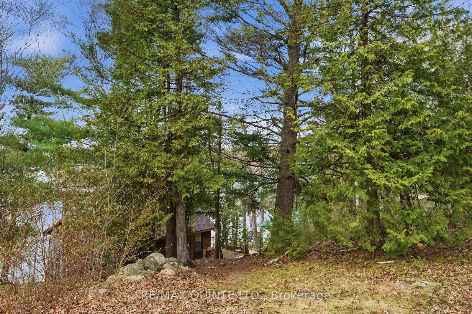 Listing Image 7