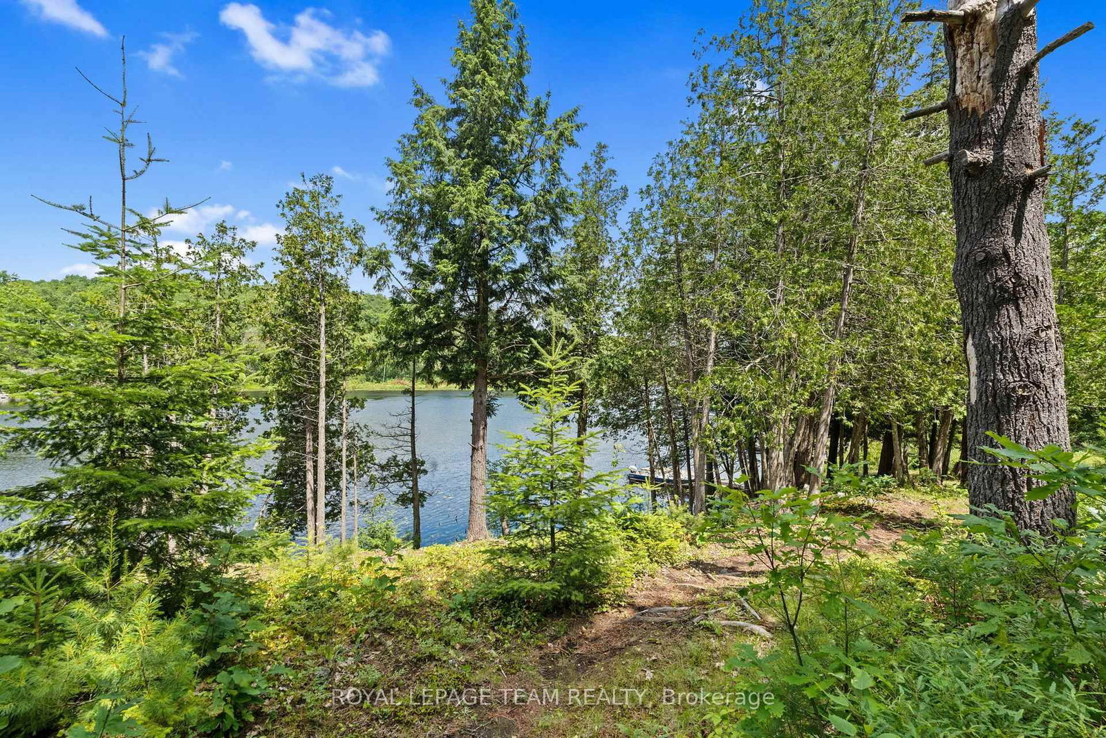 9687 Mississippi River • Ompah, ON photo 11