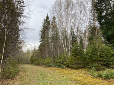 56 Legrou Lake Road