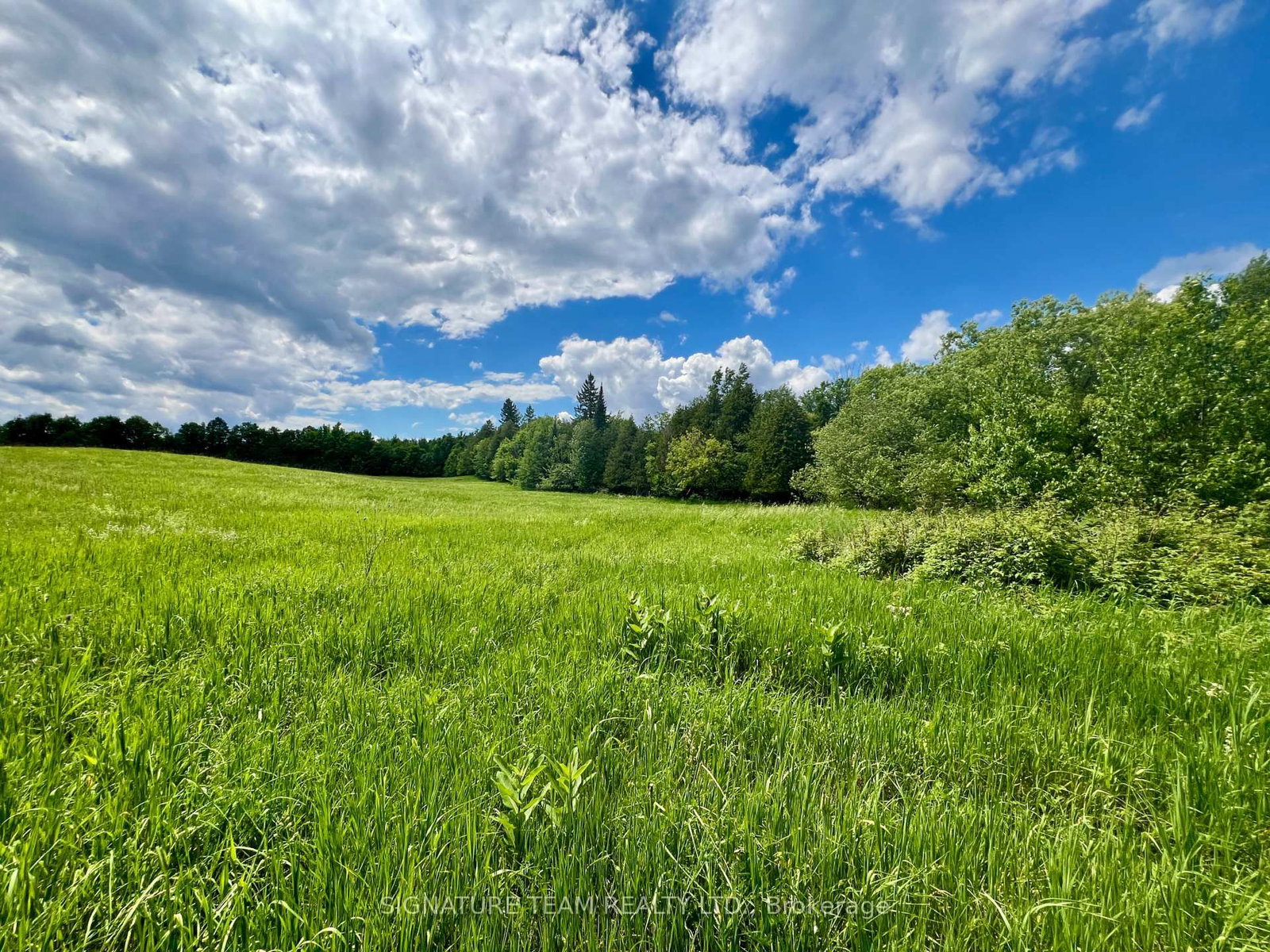 9390 60 Highway • Eganville, ON photo 41
