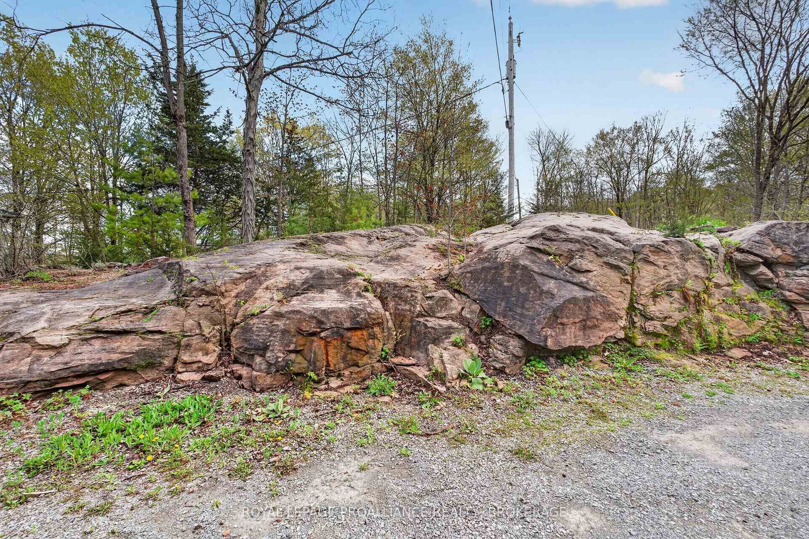 4194C Hiawatha Lane • Battersea, ON photo 27