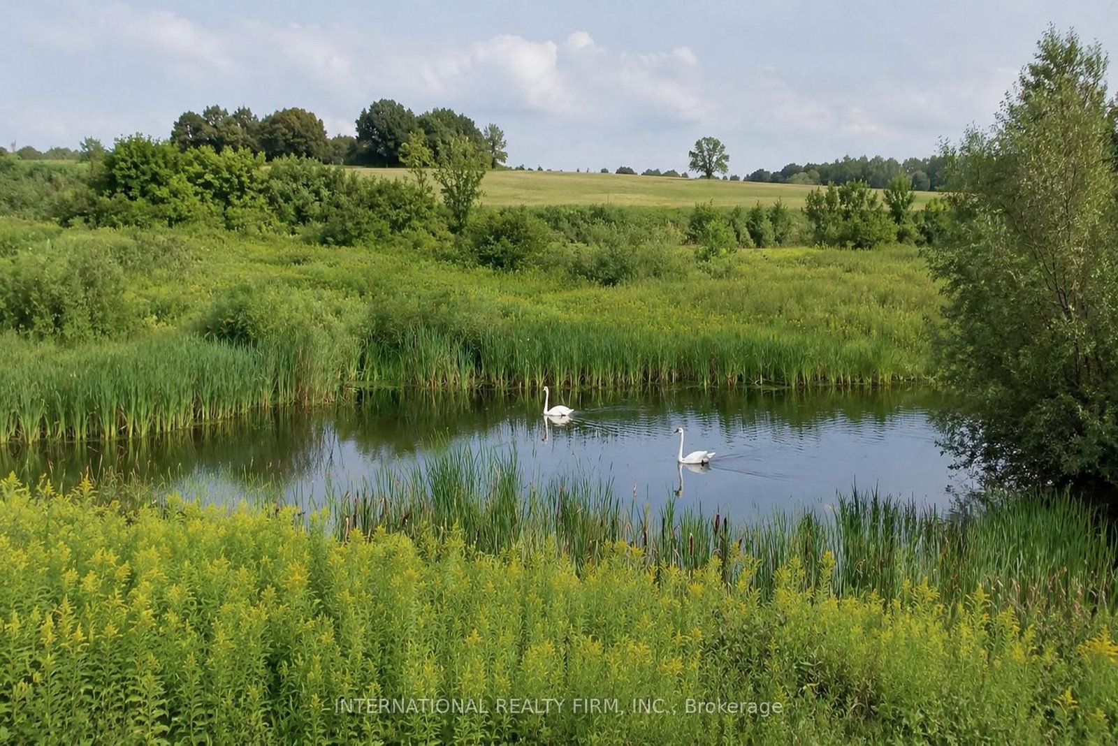 1453 Ireland Drive • Peterborough, ON photo 28