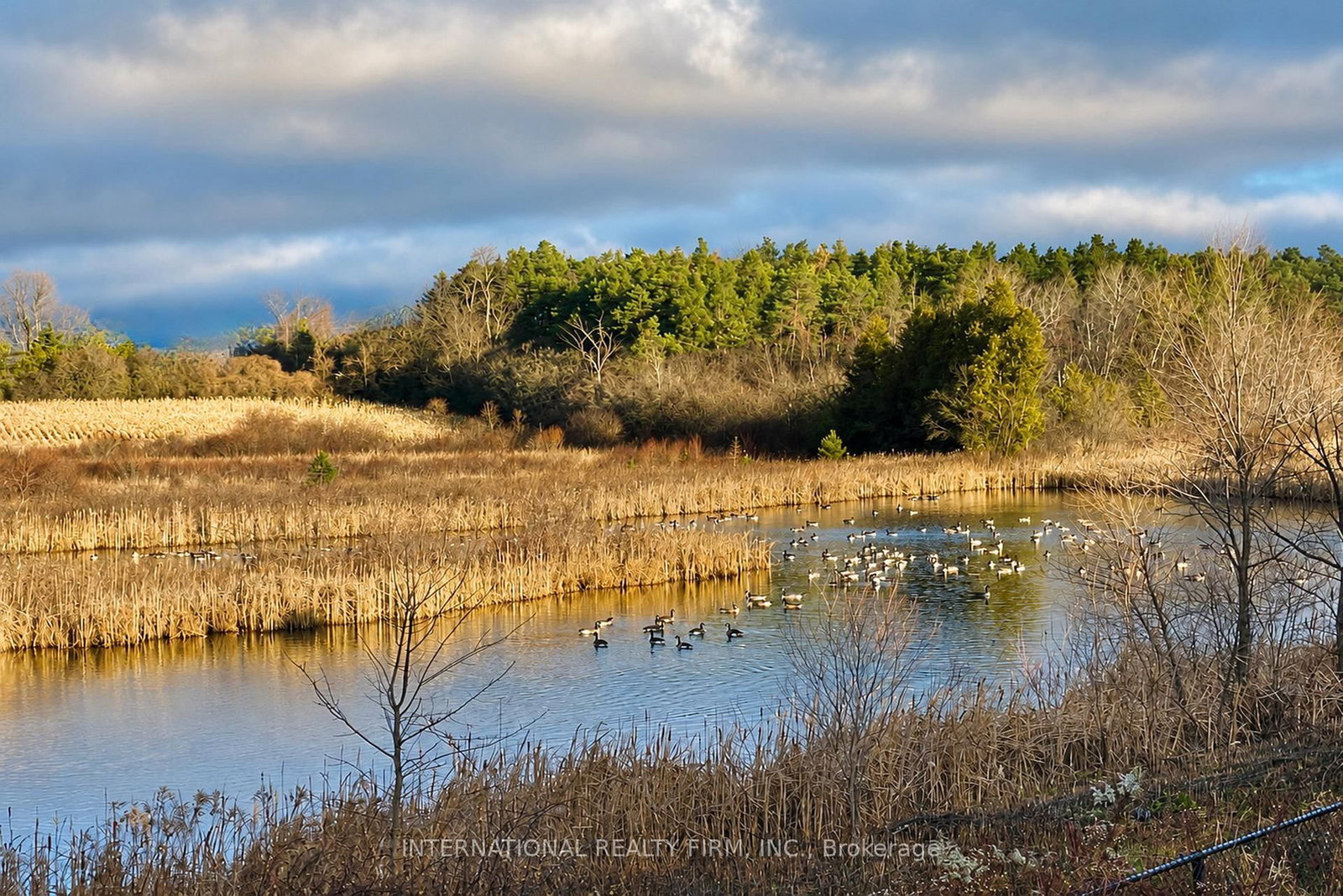 1453 Ireland Drive • Peterborough, ON photo 29